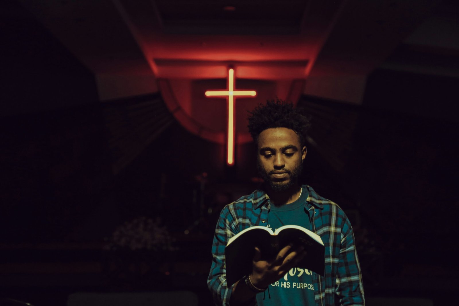 Living Spring Interior